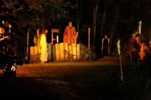 IMG 4985